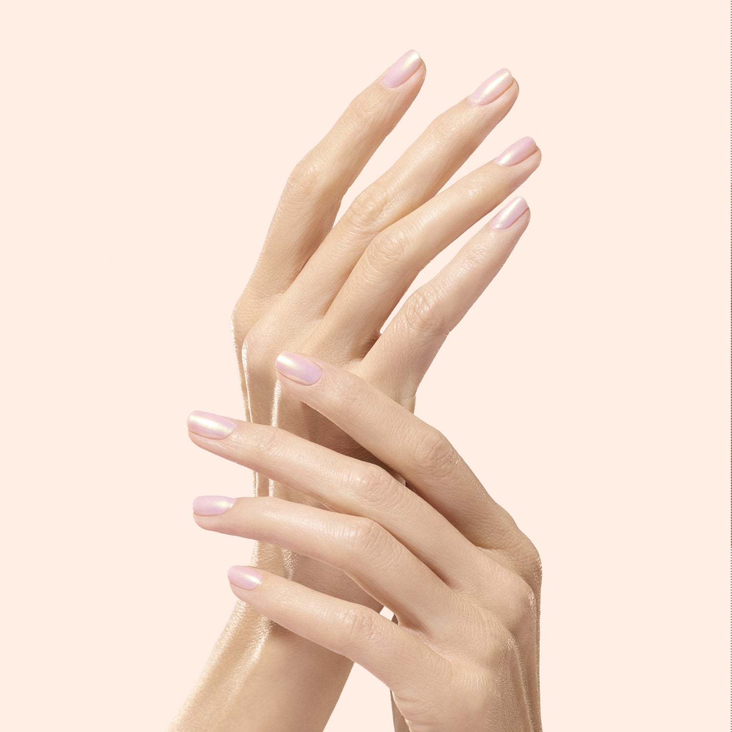 Golden Glazed Powder