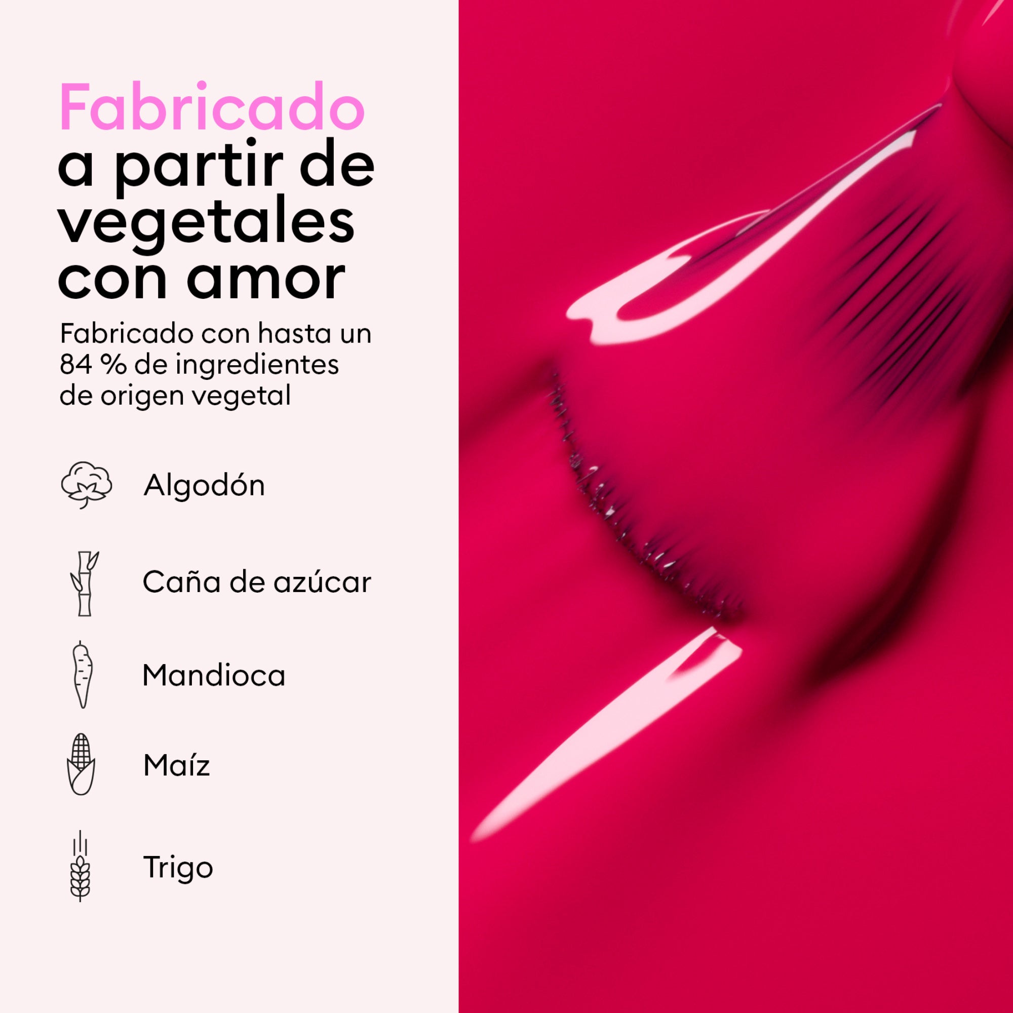 Kit Descubrimiento Caja Regalo Green Flash™