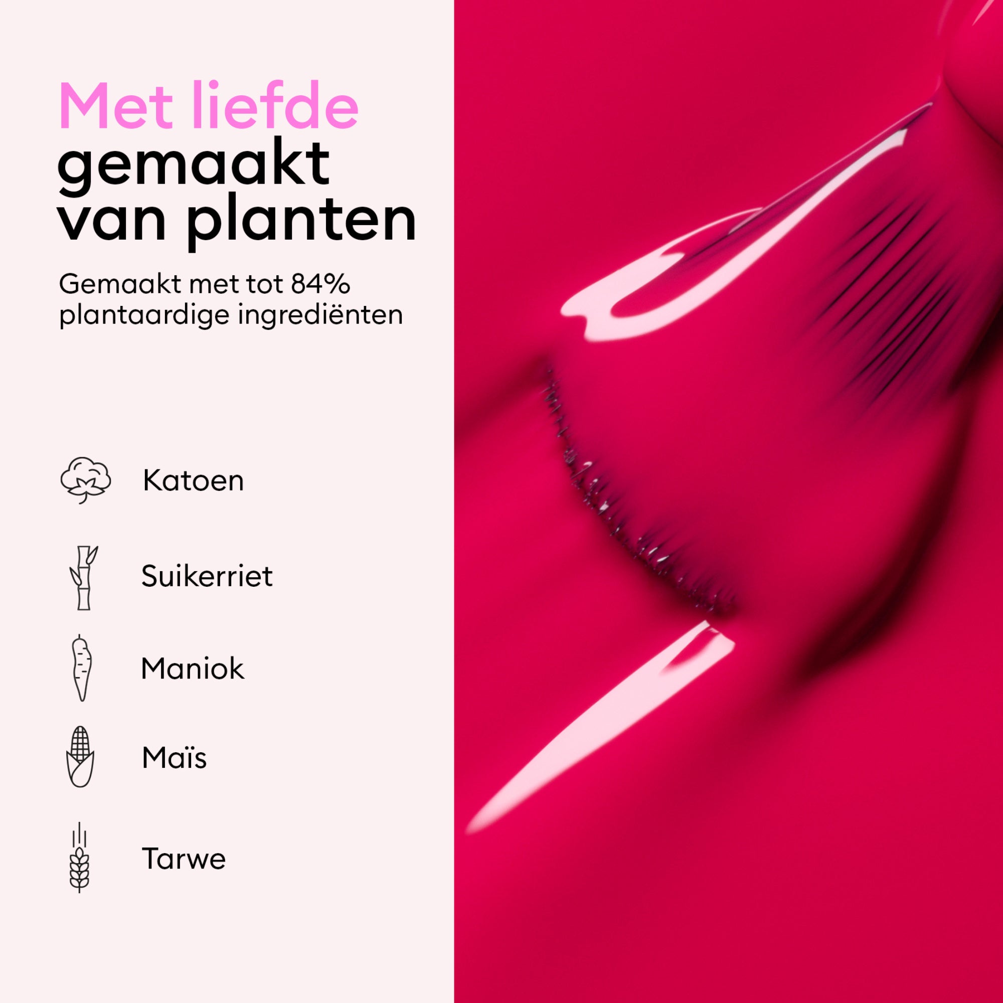 Green Flash™ Starterset