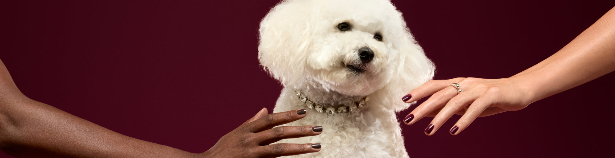 Lifestyle Holiday 25 avec chien