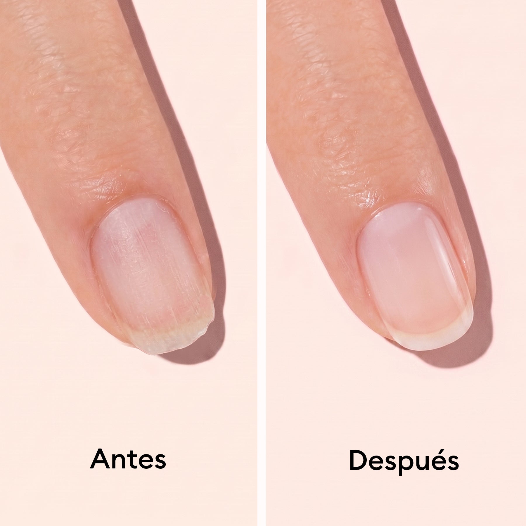 Duo Day & Night
