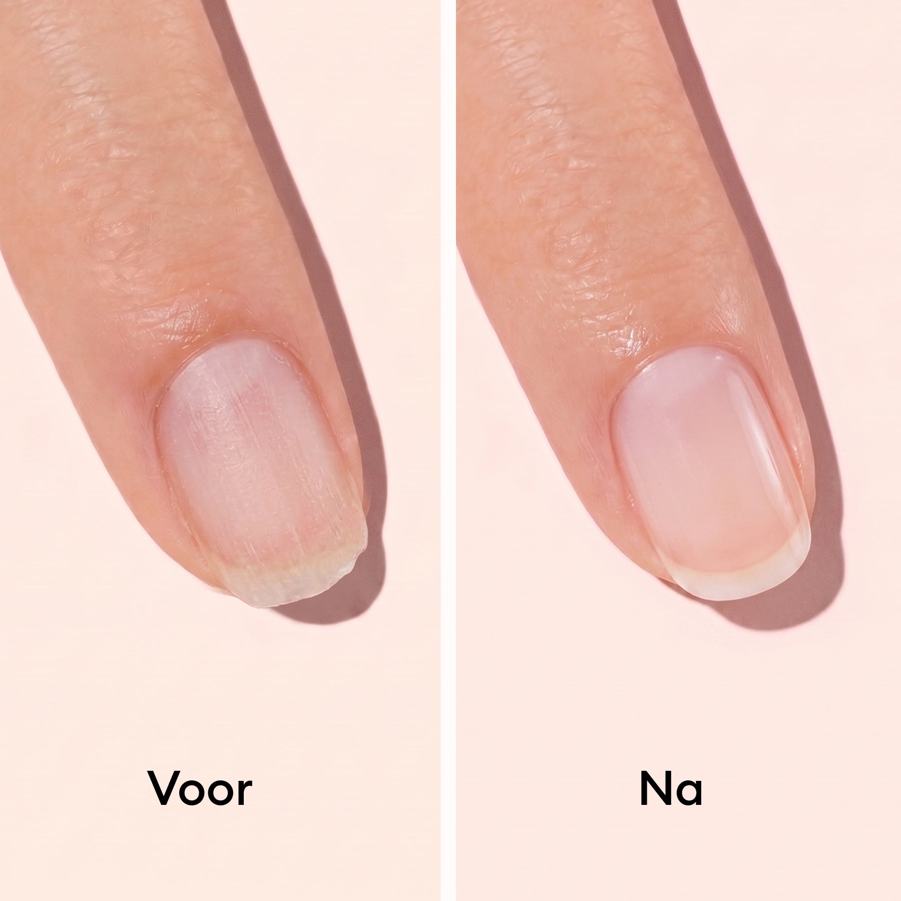 Duo Day & Night