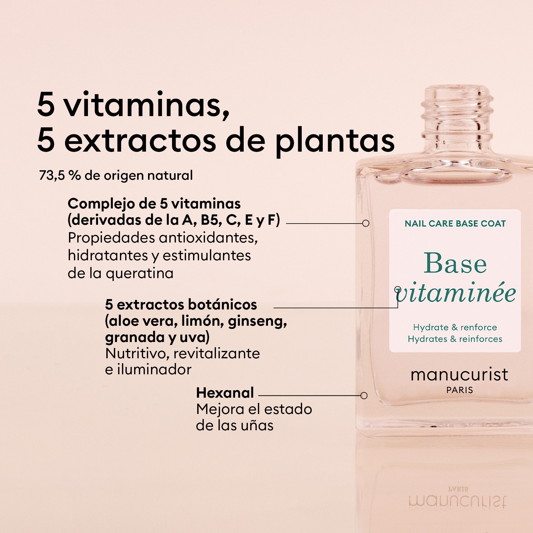 Base Vitaminada