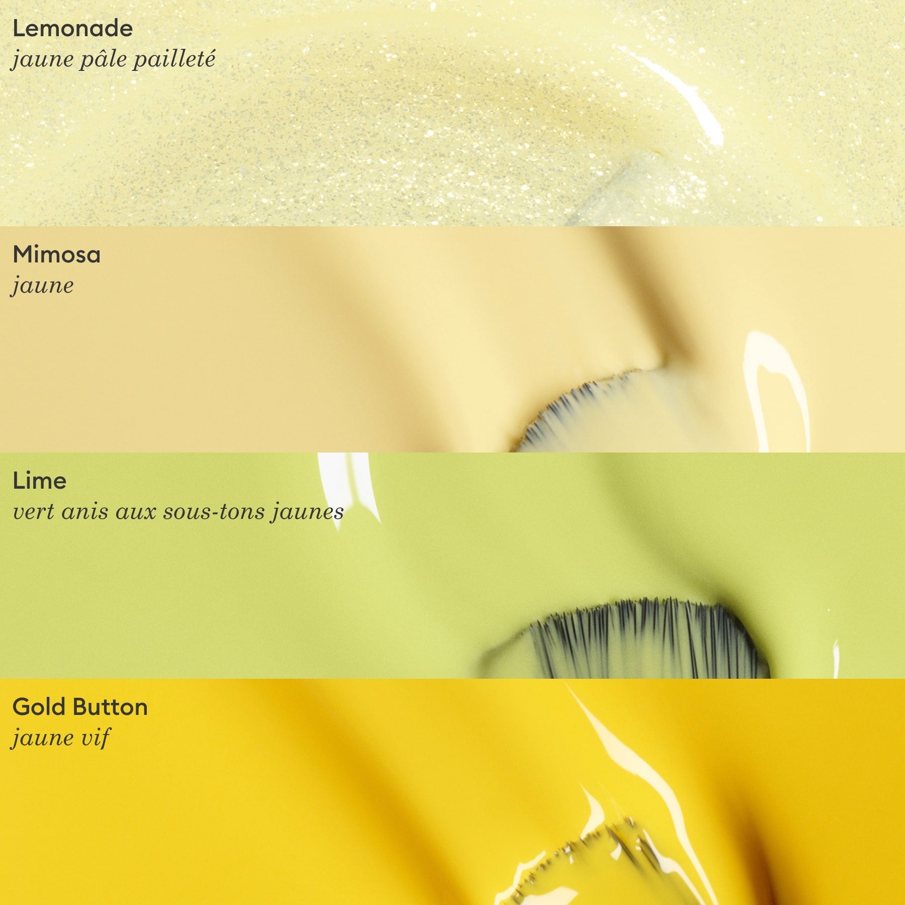 Mimosa