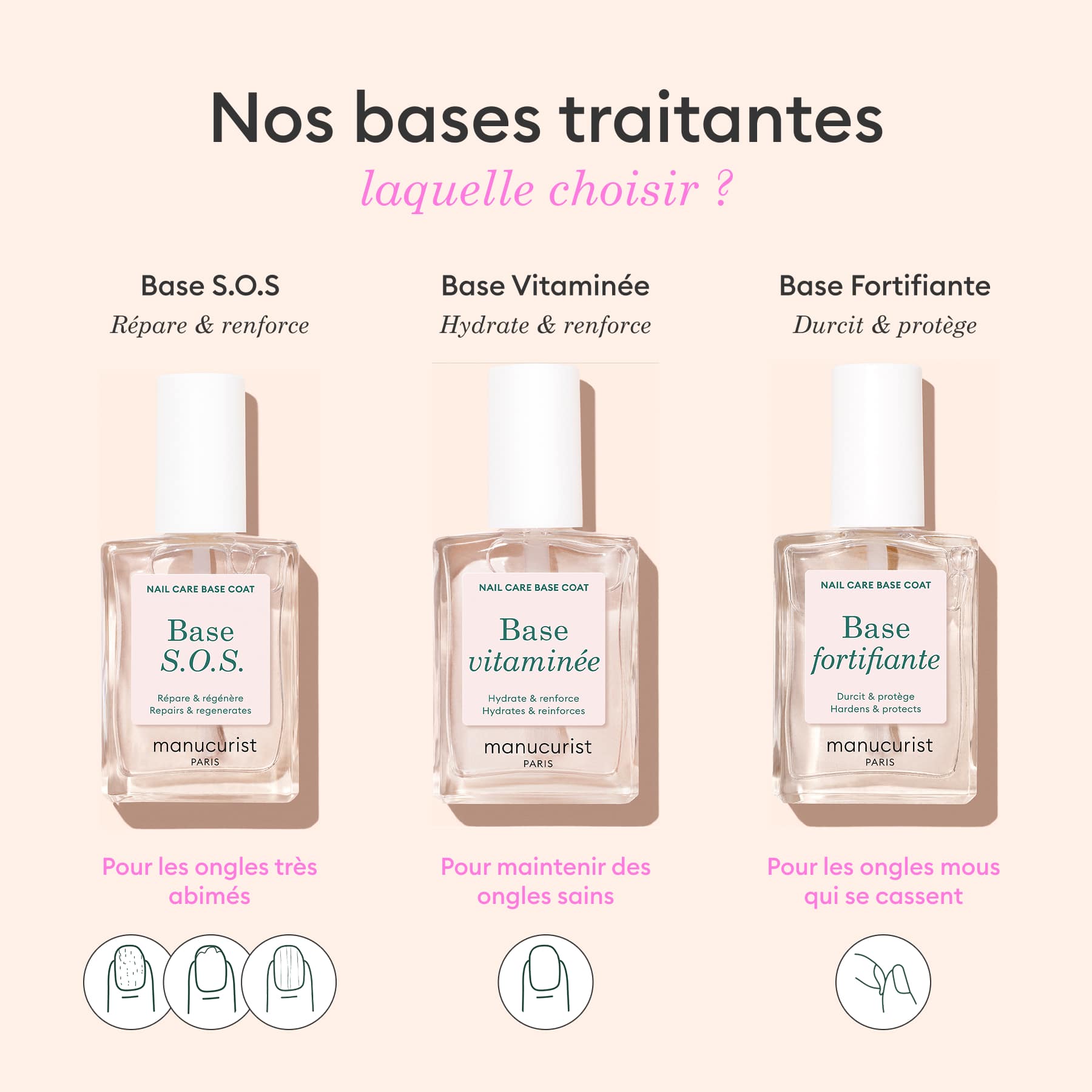 Base Fortifiante
