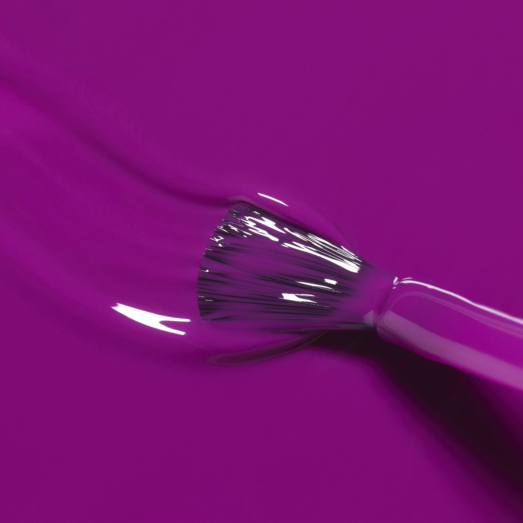 Fizz