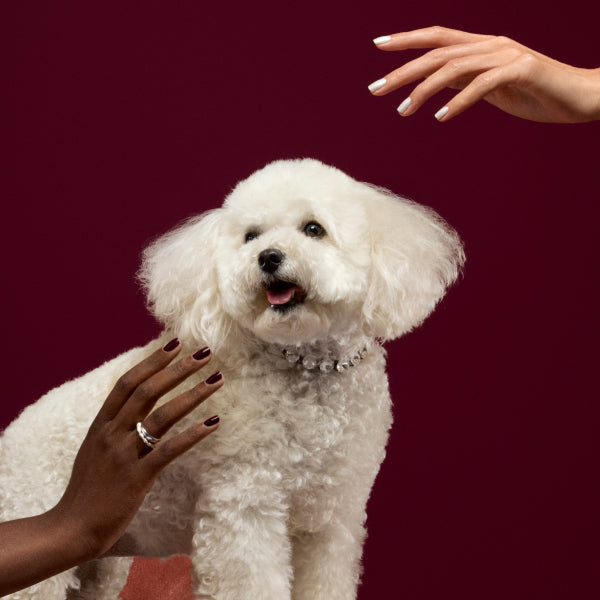 Ongles Noël 2025 : idées de manucures et nail arts pour les fêtes