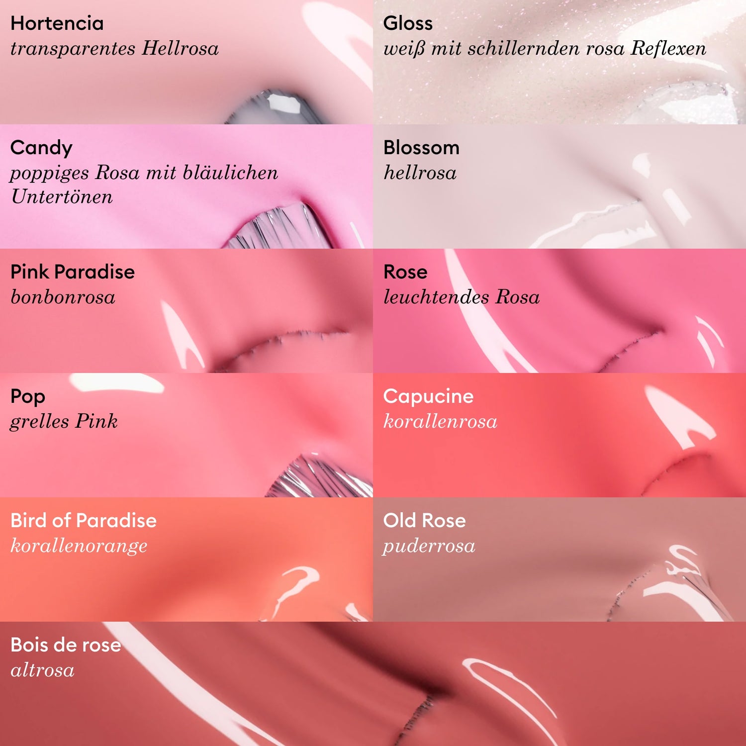 Candy