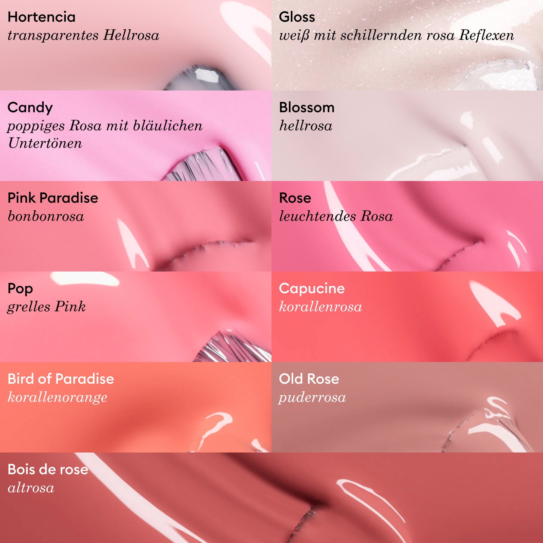 Candy