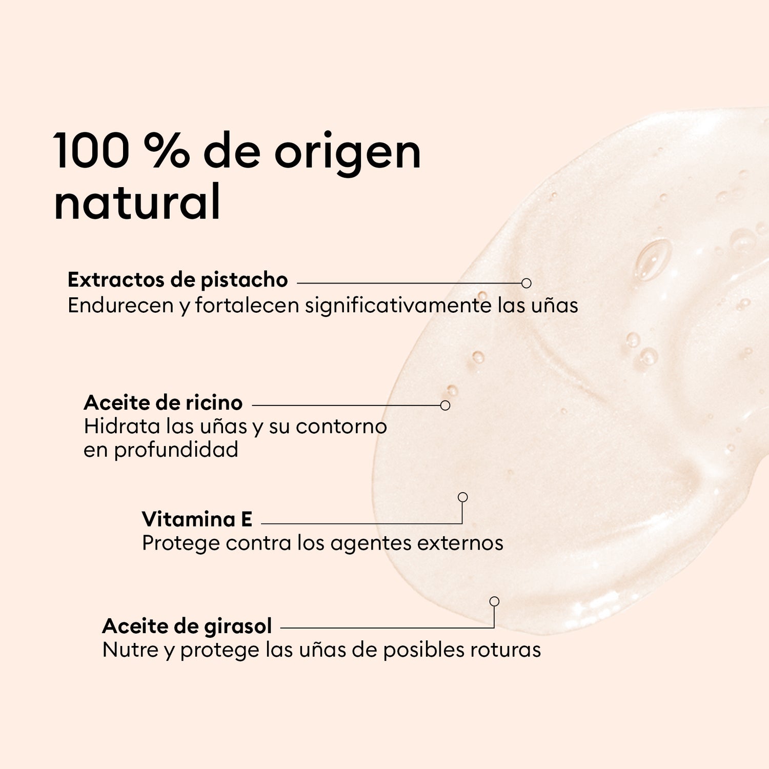 Concentrado Perfeccionador