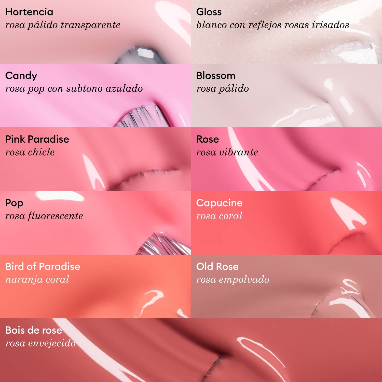 Candy