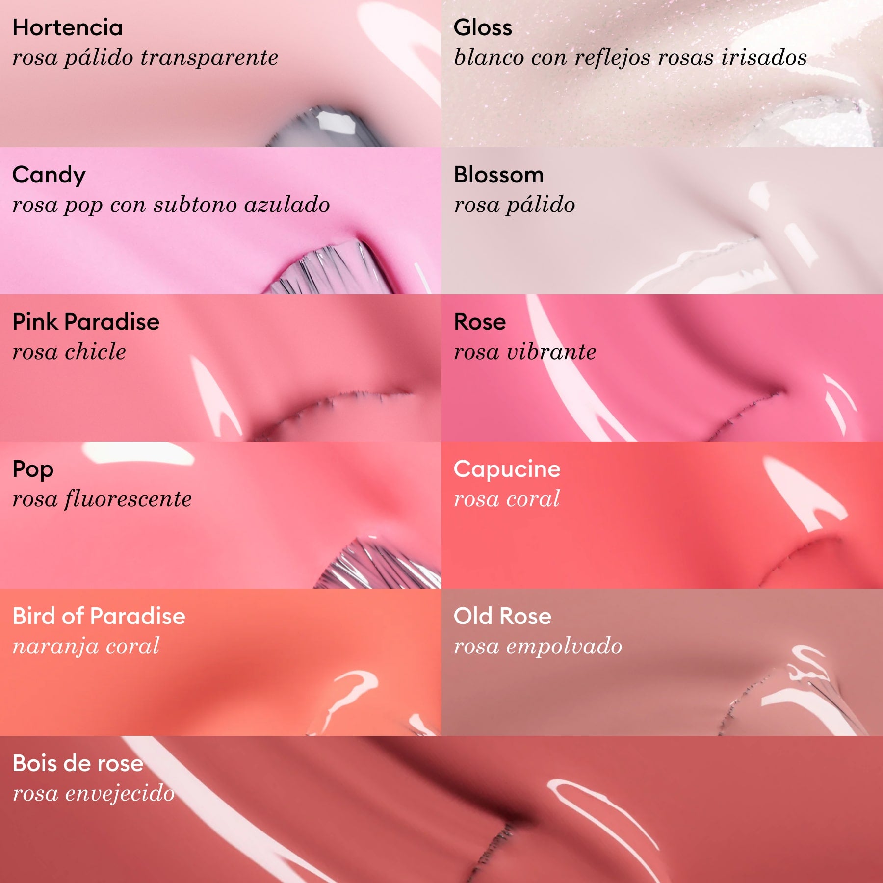 Candy