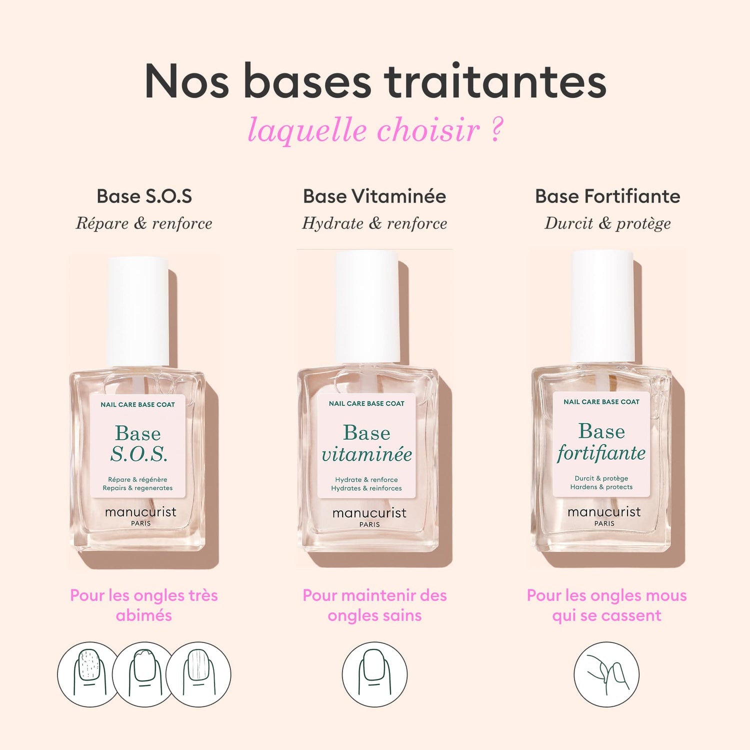 Base Fortifiante