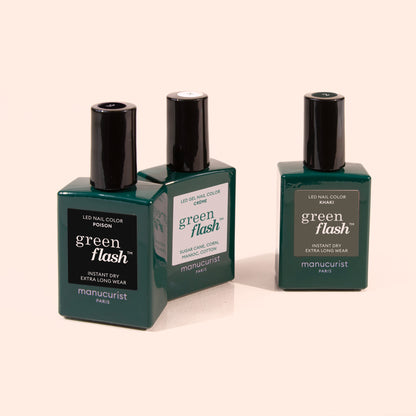 Trio Snowy Forest 