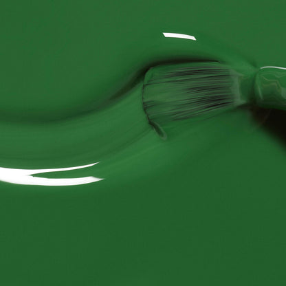 Starter Kit Green Flash™ 24W - Jade &amp; Bird of Paradise