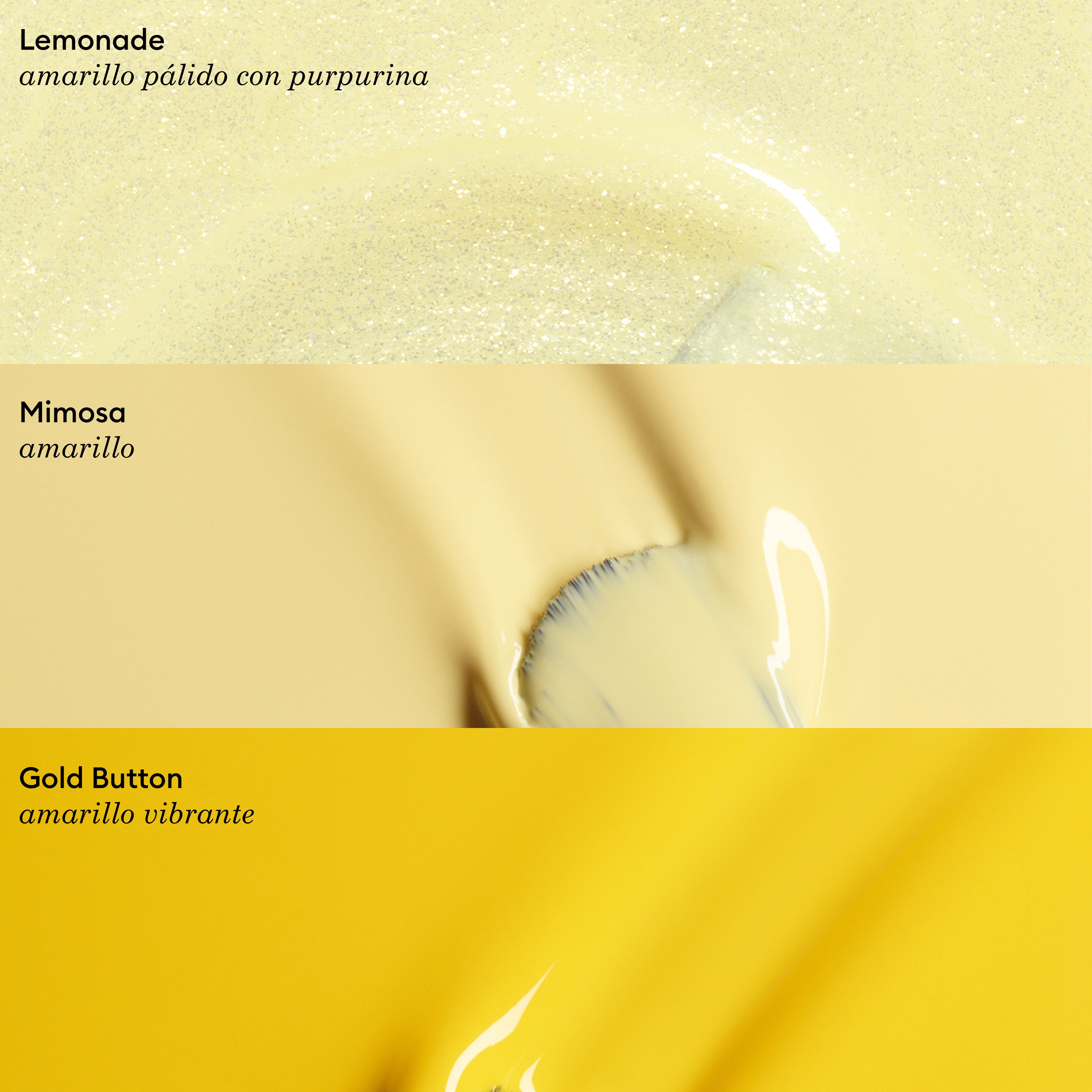 Mimosa
