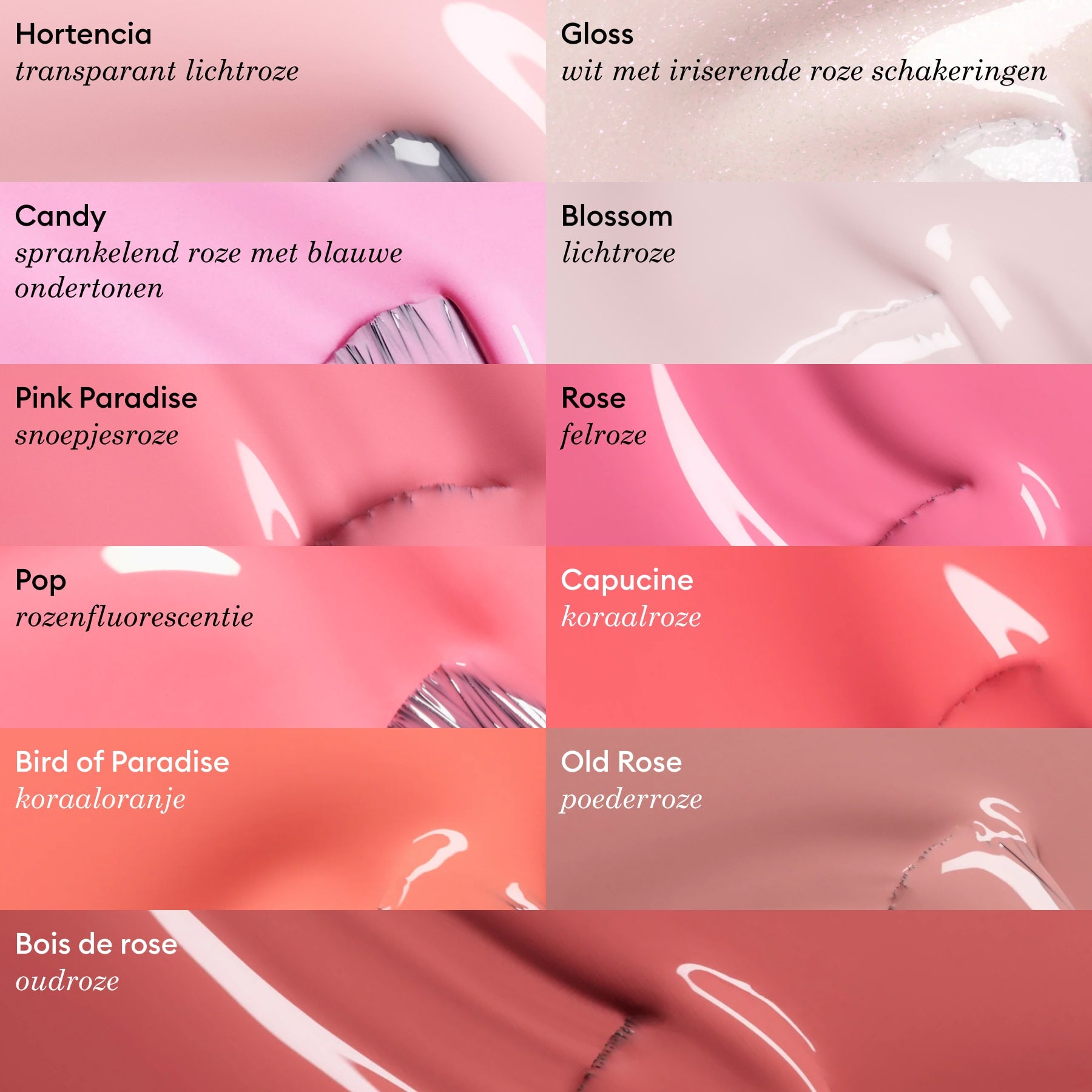Candy