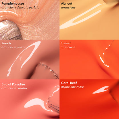 Pamplemousse