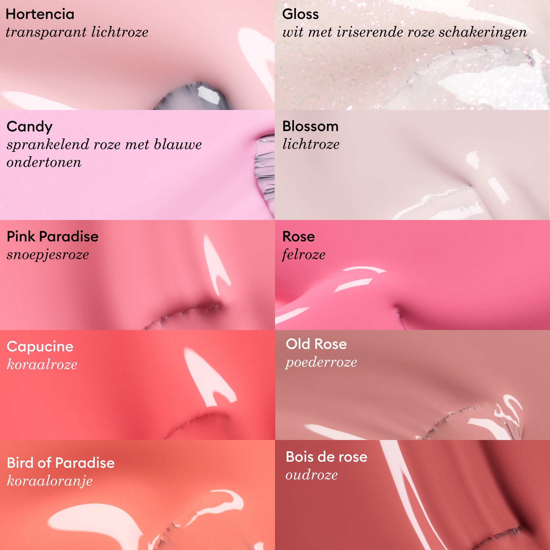 Gloss