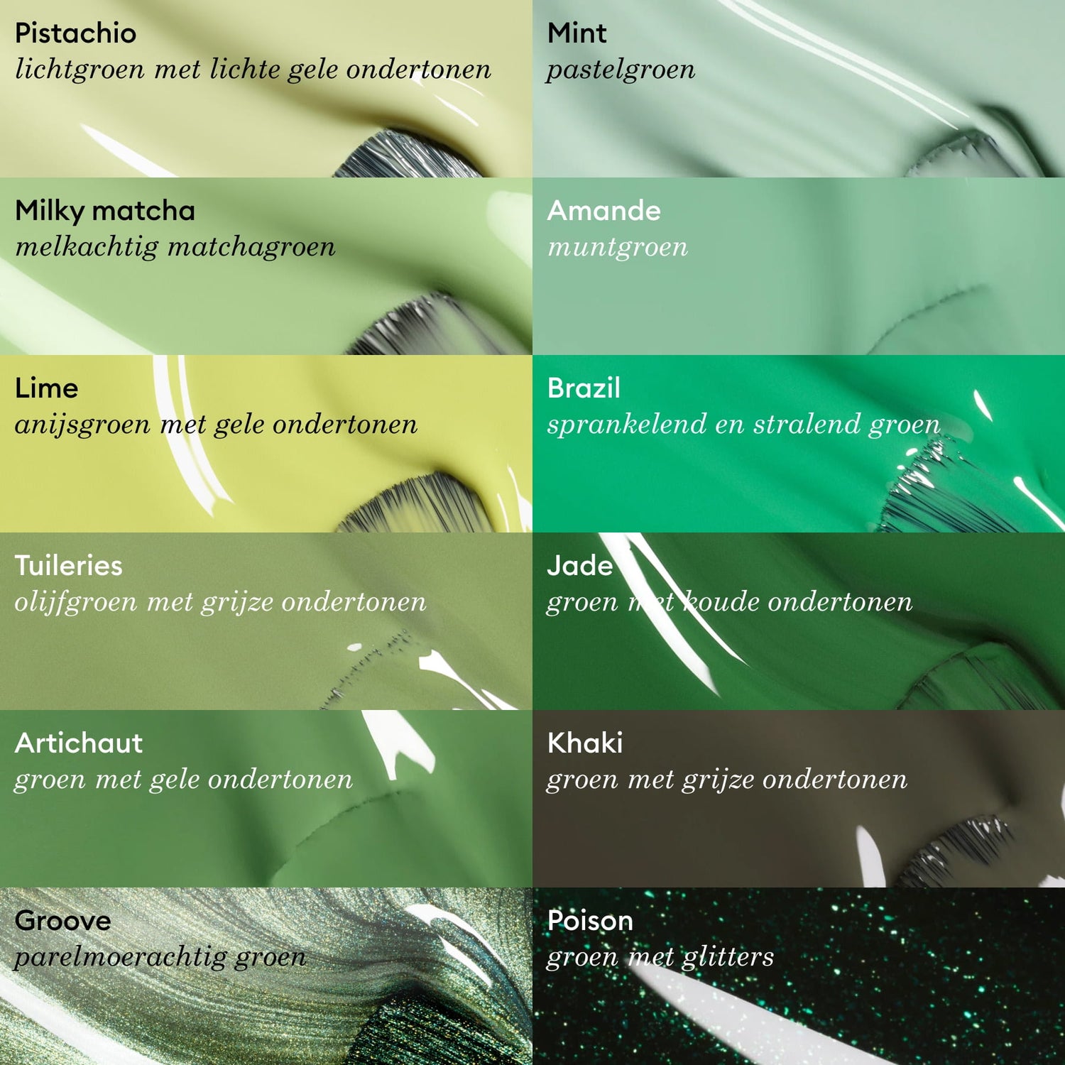 Milky Matcha