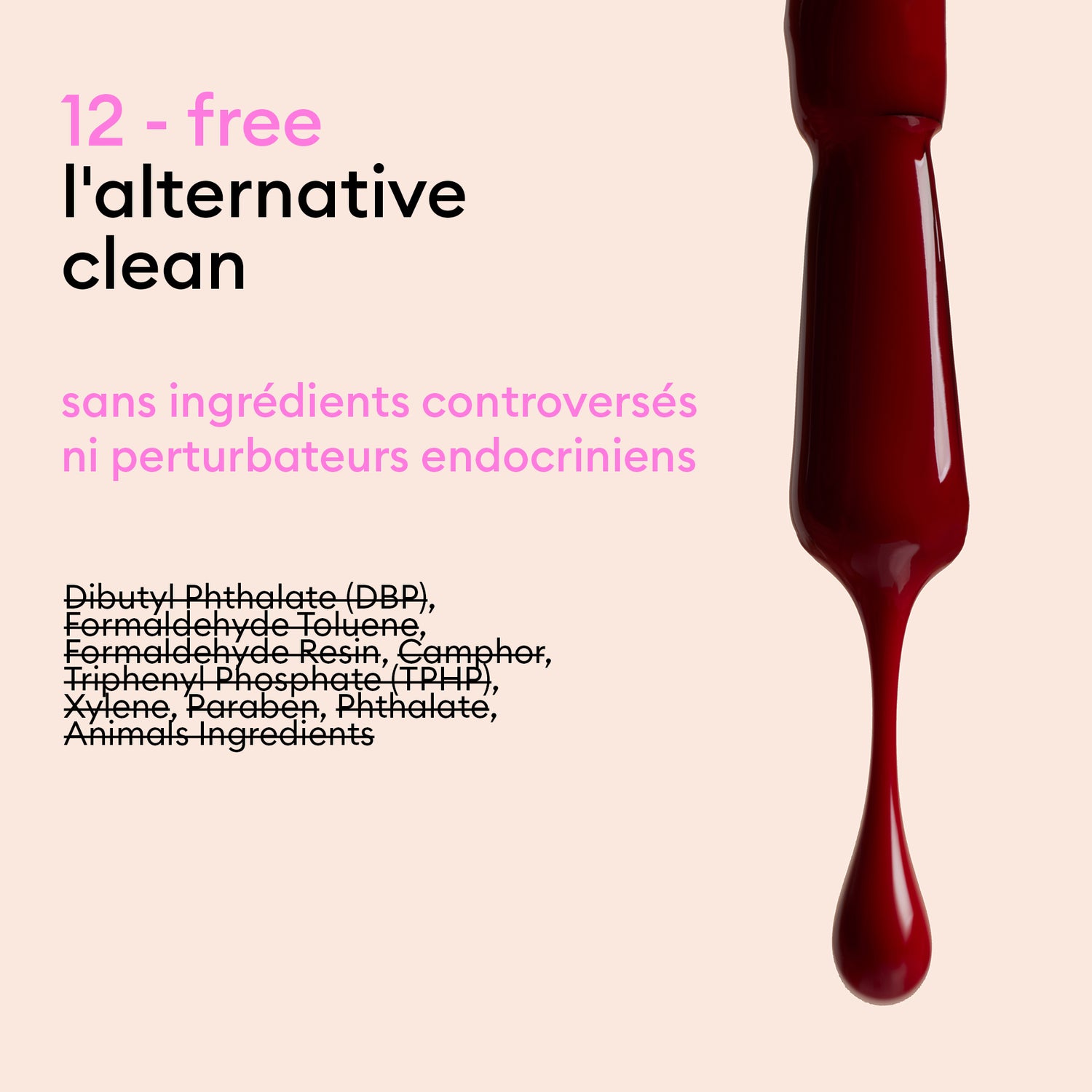 Kit découverte
